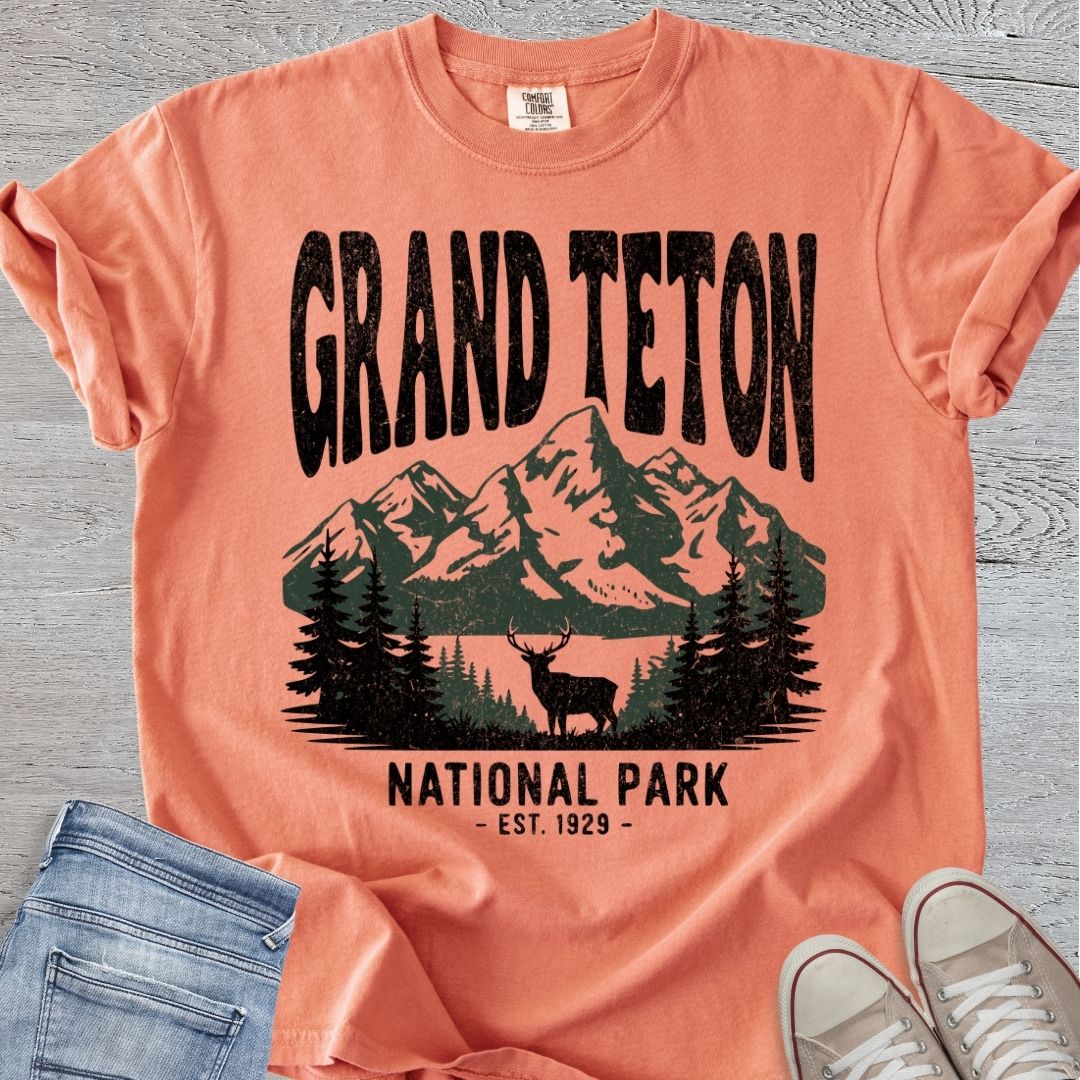 Distressed Grand Teton NP Premium Tee