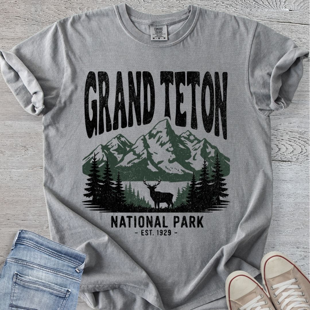 Distressed Grand Teton NP Premium Tee