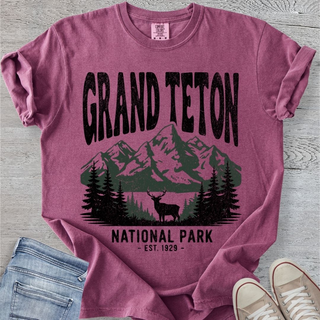 Distressed Grand Teton NP Premium Tee