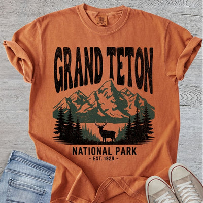 Distressed Grand Teton NP Premium Tee