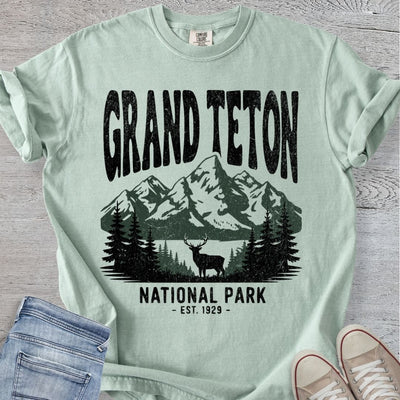 Distressed Grand Teton NP Premium Tee
