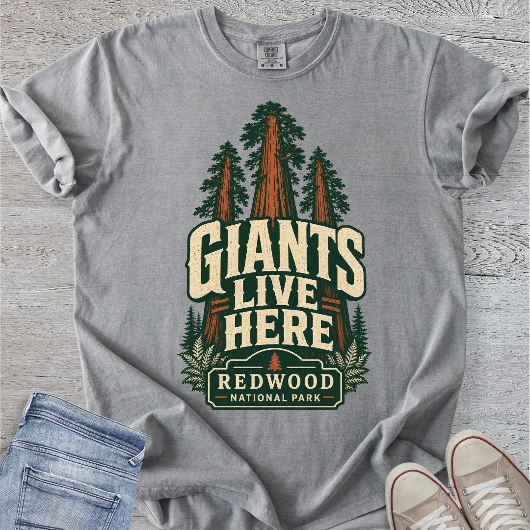 Redwood National Park