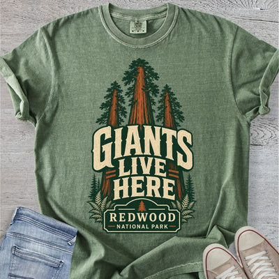 Redwood National Park