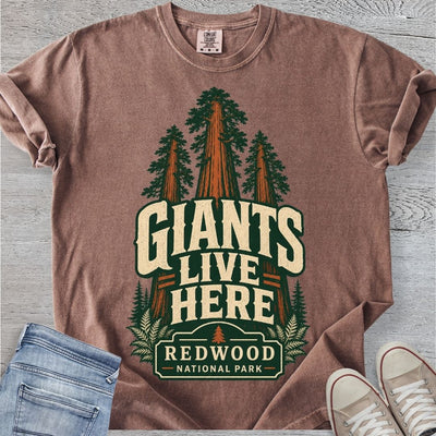 Redwood National Park