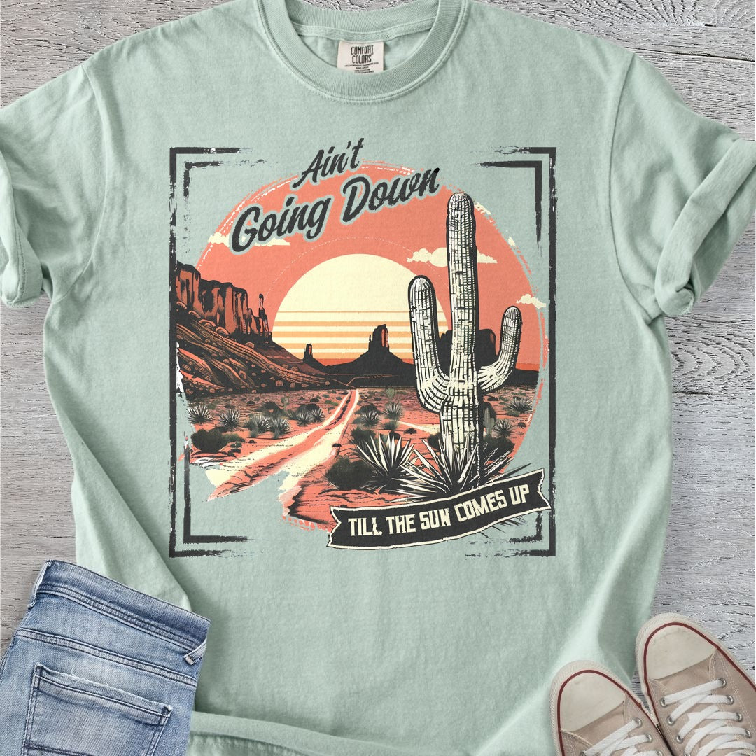 Ain't Going Down Premium Tee