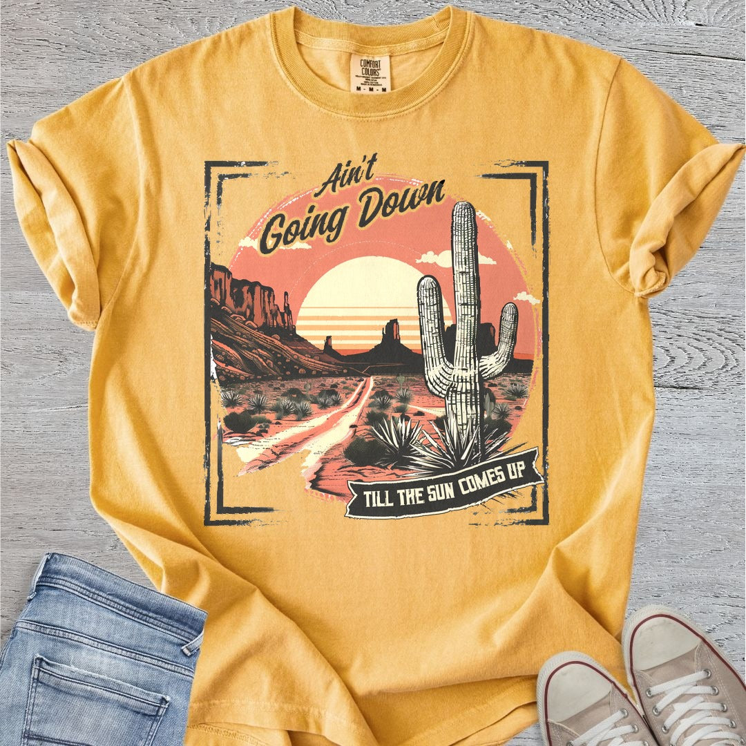 Ain't Going Down Premium Tee