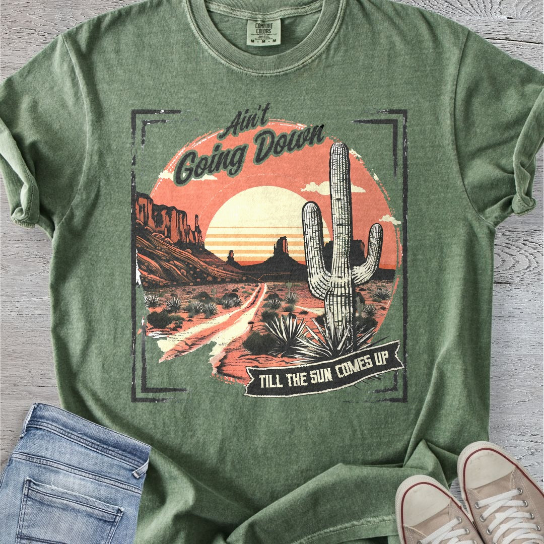Ain't Going Down Premium Tee