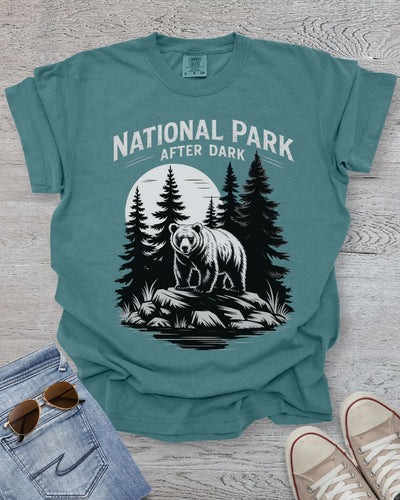 Park After Dark Premium Tee