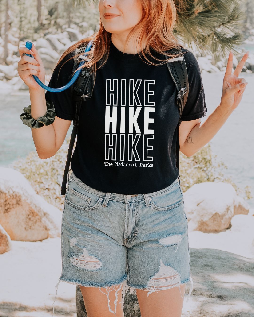 Hike the National Parks Premium Tee