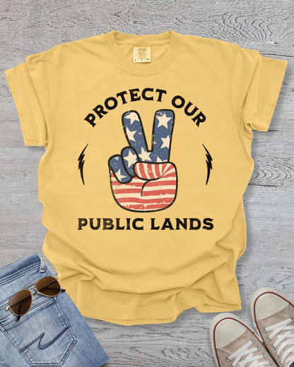 Protect Public Lands Premium Tee